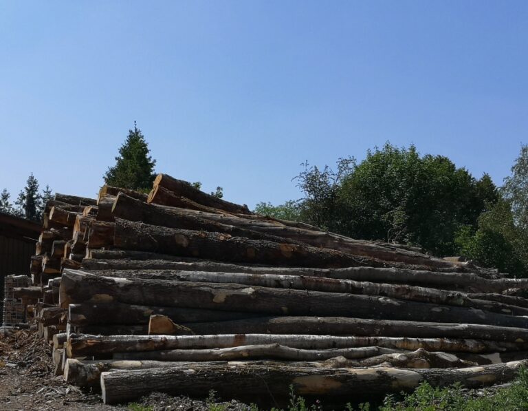 Camion de 20 stères de bois en grume | Hêtre, Chêne, Charme – Bois de chauffage de qualité