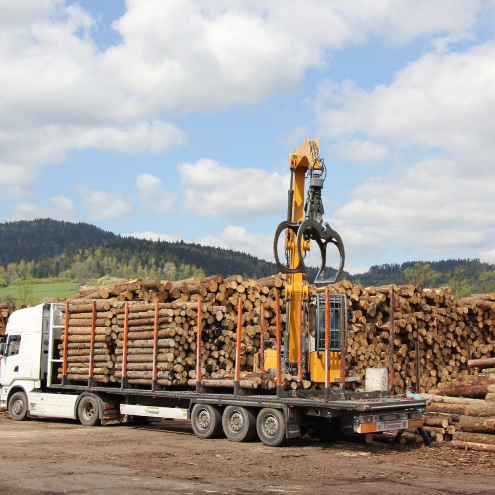 alt="bois de chauffage en grume hêtre chêne charme" alt="camion de 60 stères de bois en grume"