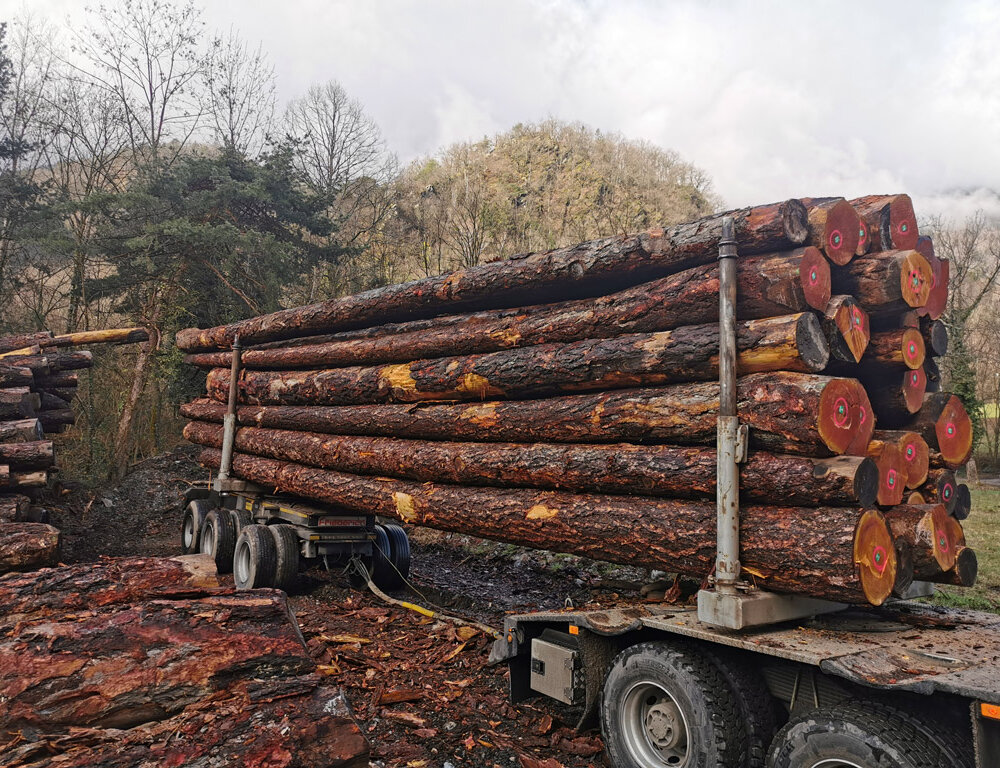 #Billons de bois en 1 mètre pour chauffage – bois brut à fendre